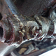 Image for article titled The Last-Minute Repair Frenzy That Saved My $500 Postal Jeep Project